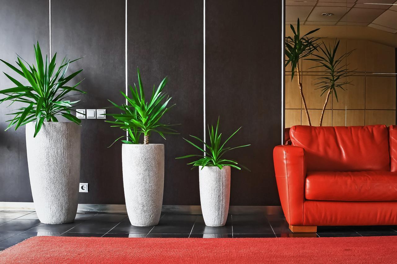 Hotel Palma Mažeikiai Kültér fotó
